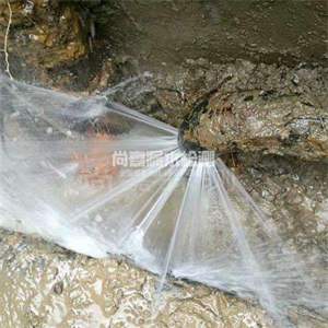 净潭乡消防管道漏水检测